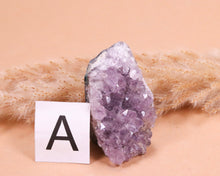 Lade das Bild in den Galerie-Viewer, Amethyst Druse Freeform Mini