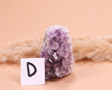 Lade das Bild in den Galerie-Viewer, Amethyst Druse Freeform Mini