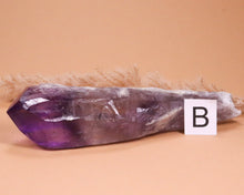 Lade das Bild in den Galerie-Viewer, Amethyst Wurzelspitze