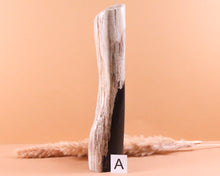 Lade das Bild in den Galerie-Viewer, Versteinertes Holz poliert auf Standfläche