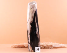 Lade das Bild in den Galerie-Viewer, Versteinertes Holz poliert auf Standfläche