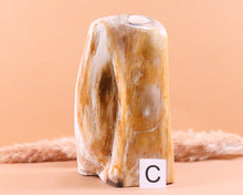 Lade das Bild in den Galerie-Viewer, Versteinertes Holz poliert auf Standfläche