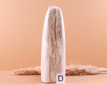 Lade das Bild in den Galerie-Viewer, Versteinertes Holz poliert auf Standfläche