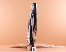 Lade das Bild in den Galerie-Viewer, Versteinertes Holz poliert auf Standfläche