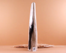 Lade das Bild in den Galerie-Viewer, Versteinertes Holz poliert auf Standfläche