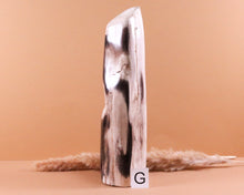 Lade das Bild in den Galerie-Viewer, Versteinertes Holz poliert auf Standfläche