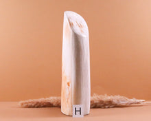 Lade das Bild in den Galerie-Viewer, Versteinertes Holz poliert auf Standfläche