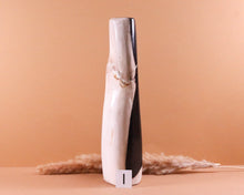 Lade das Bild in den Galerie-Viewer, Versteinertes Holz poliert auf Standfläche