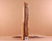 Lade das Bild in den Galerie-Viewer, Versteinertes Holz poliert auf Standfläche