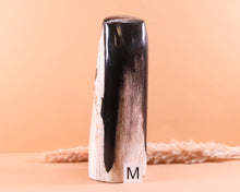 Lade das Bild in den Galerie-Viewer, Versteinertes Holz poliert auf Standfläche