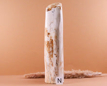 Lade das Bild in den Galerie-Viewer, Versteinertes Holz poliert auf Standfläche