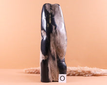 Lade das Bild in den Galerie-Viewer, Versteinertes Holz poliert auf Standfläche