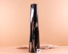 Lade das Bild in den Galerie-Viewer, Versteinertes Holz poliert auf Standfläche