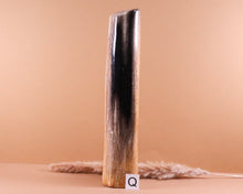 Lade das Bild in den Galerie-Viewer, Versteinertes Holz poliert auf Standfläche