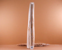 Lade das Bild in den Galerie-Viewer, Versteinertes Holz poliert auf Standfläche