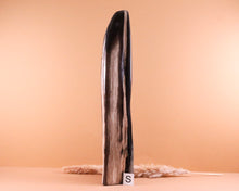 Lade das Bild in den Galerie-Viewer, Versteinertes Holz poliert auf Standfläche