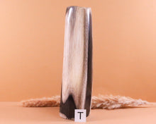 Lade das Bild in den Galerie-Viewer, Versteinertes Holz poliert auf Standfläche
