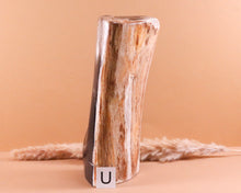 Lade das Bild in den Galerie-Viewer, Versteinertes Holz poliert auf Standfläche