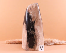 Lade das Bild in den Galerie-Viewer, Versteinertes Holz poliert auf Standfläche