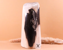 Lade das Bild in den Galerie-Viewer, Versteinertes Holz poliert auf Standfläche