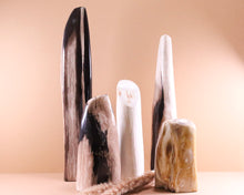 Lade das Bild in den Galerie-Viewer, Versteinertes Holz poliert auf Standfläche