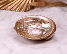 Lade das Bild in den Galerie-Viewer, Abalone Muschel dunkel Räucherschale