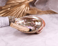 Lade das Bild in den Galerie-Viewer, Abalone Muschel dunkel Räucherschale