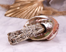 Lade das Bild in den Galerie-Viewer, Abalone Muschel dunkel Räucherschale