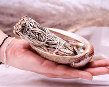 Lade das Bild in den Galerie-Viewer, Abalone Muschel dunkel Räucherschale