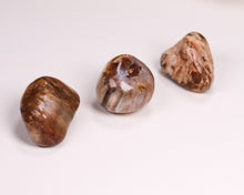 Lade das Bild in den Galerie-Viewer, Versteinertes Holz Trommelstein