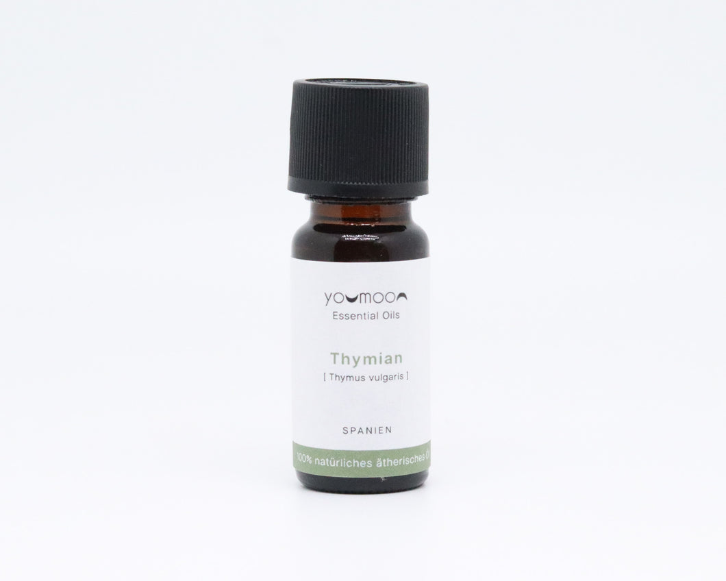 Öl Thymian