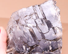 Lade das Bild in den Galerie-Viewer, Skelettquarz dunkel Unikat
