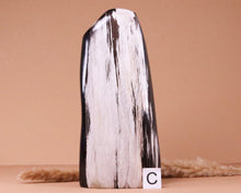 Lade das Bild in den Galerie-Viewer, Versteinertes Holz poliert auf Standfläche
