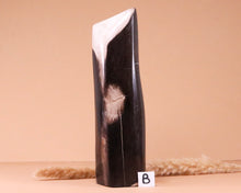 Lade das Bild in den Galerie-Viewer, Versteinertes Holz poliert auf Standfläche
