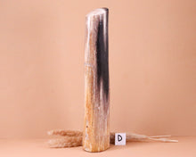 Lade das Bild in den Galerie-Viewer, Versteinertes Holz poliert auf Standfläche
