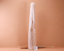 Lade das Bild in den Galerie-Viewer, Versteinertes Holz poliert auf Standfläche
