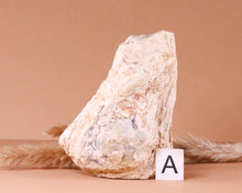 Lade das Bild in den Galerie-Viewer, Versteinertes Holz auf Standfläche
