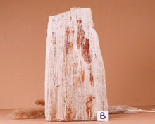 Lade das Bild in den Galerie-Viewer, Versteinertes Holz auf Standfläche
