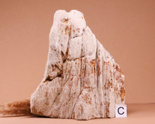 Lade das Bild in den Galerie-Viewer, Versteinertes Holz auf Standfläche

