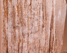 Lade das Bild in den Galerie-Viewer, Versteinertes Holz Unikat
